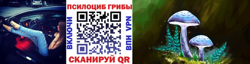 Псилоцибиновые грибы MAGIC MUSHROOMS  Владикавказ 
